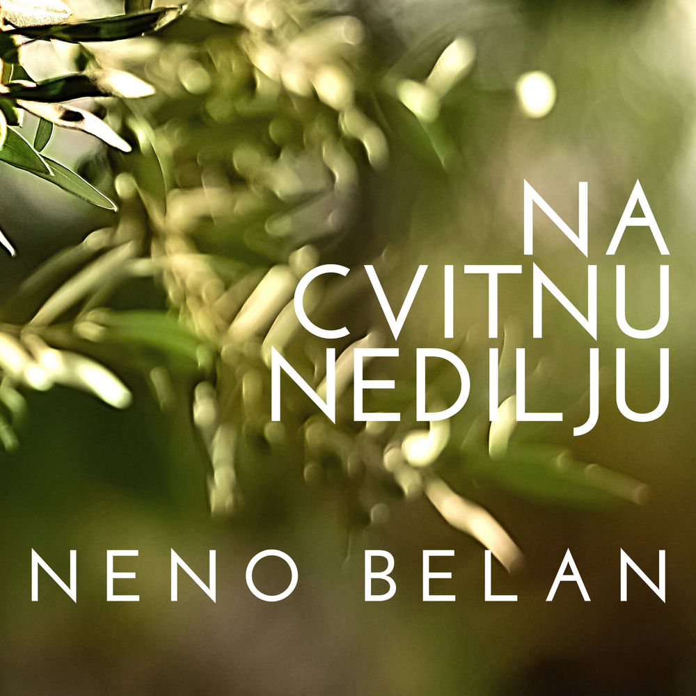 Na cvitnu nedilju